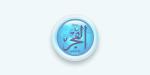 إزالة 638 حالة إشغال طريق في مدينة دمنهور بالبحيرة (صور) - هرم مصر