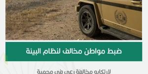 18 متنًا من الإبل.. ضبط مواطن ارتكب مخالفة بمحمية الملك عبدالعزيز - هرم مصر