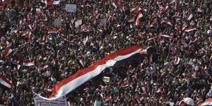 ماهر فرغلي: ثورة 30 يونيو أنقذت أغلب شعوب المنطقة - هرم مصر