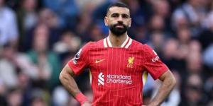 محمد صلاح يغيب عن التشكيل المثالي لـ دوري أبطال أوروبا - هرم مصر