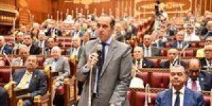 وزير الشئون النيابية: نظام التأمين الصحي الشامل حلم لدى كل دولة لكنه بدأ يتحول لحقيقة في مصر - هرم مصر