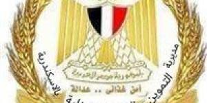 بـ69430 طنا.. تموين الإسكندرية يستمر في متابعة موسم توريد الأقماح - هرم مصر