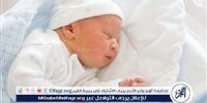 ????هل تعلم أن هناك دولة بلا أطفال أو زواج؟ تعرف على أصغر وأغرب دولة في العالم - هرم مصر