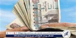 حد أدنى 7000 جنيه شهريًا للعاملين بالقطاع العام وقطاع الأعمال بعد الزيادة - هرم مصر