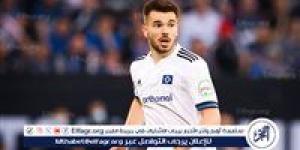 هامبورج يبرم أولى صفقاته بعد الصعود للبوندسليجا بالتعاقد مع ريمبرج - هرم مصر
