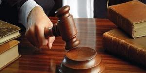 تأجيل محاكمة 11 متهما بقضية خلية حلوان لـ 18 أغسطس المقبل - هرم مصر