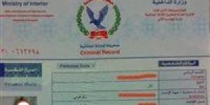 خطوات بسيطة للحصول على "فيش وتشبيه" - هرم مصر