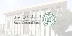 25 % ارتفاع في التمويل السكني للأفراد - هرم مصر