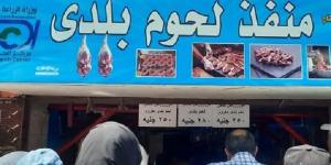 إقبال كثيف على منافذ الزراعة لشراء لحوم العيد بأسعار مخفضة - هرم مصر