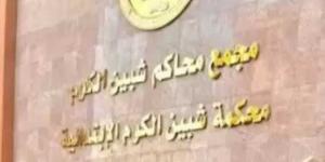 إحالة أوراق المتهم بقتل سائق توك توك بقرية البرانقة بالمنوفية للمفتي - هرم مصر