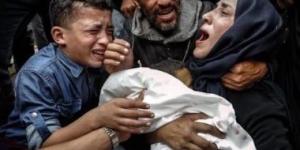 الأمم المتحدة: نرفض أن يدفع سكان غزة حياتهم ثمنا للحصول على المساعدات - هرم مصر