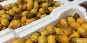 سوق تمور المدينة المنورة يشهد أولى طلائع الرطب - هرم مصر