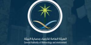 طقس الأربعاء.. أمطار رعدية مصحوبة برياح نشطة على عدة مناطق - هرم مصر