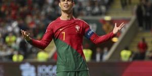 شاهد .. كريستيانو رونالدو يمنح البرتغال هدف التقدم أمام ألمانيا - هرم مصر