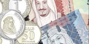 سعر الريال السعودي مقابل الجنيه المصري اليوم السبت 7 يونيو - هرم مصر