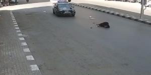 ضبط طالب جامعي أطاح بسيدة مُسنة بسيارته في طنطا - هرم مصر