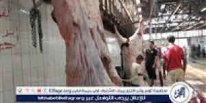 الزراعة: خدمات مجانية ومتابعة بيطرية دقيقة قبل ذبح الأضاحي في ثاني أيام العيد - هرم مصر