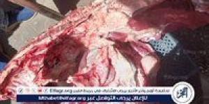 ضبط لحوم غير صالحة للاستهلاك الآدمي وتحرير 480 مخالفة تموينية فى أسيوط - هرم مصر