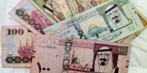 استقرار أسعار العملات العربية في البنوك المصرية اليوم الخميس 12 يونيو 2025 - هرم مصر