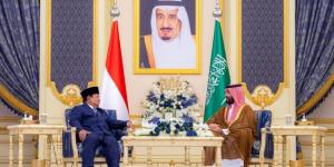 المملكة وإندونيسيا.. 8 عقود من الشراكة والتعاون المشترك - هرم مصر