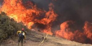 فرق الإطفاء السورية تكثف جهودها للسيطرة على حرائق غابات بريف اللاذقية - هرم مصر