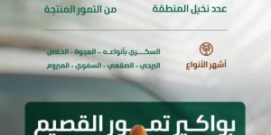 البيئة: موسم جني التمور بالقصيم يعزز الحراك الاقتصادي بالمملكة بإنتاج (390) ألف طن - هرم مصر
