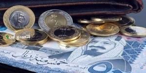 أسعار الريال السعودي في مصر اليوم الأحد - هرم مصر