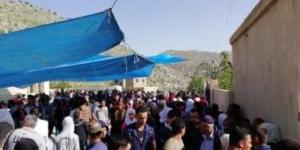 مباحثات بين وزيرى داخلية النمسا والأردن حول استقرار سوريا اليوم - هرم مصر