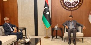 مجلس النواب يودع السفير الفرنسي بعد بحث قضايا حقوق الإنسان والأوضاع السياسية - هرم مصر
