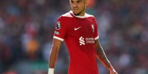 ليفربول يتمسك بـ لويس دياز وبرفض عرض برشلونة  - هرم مصر