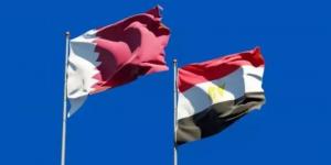مصر وقطر شريكان مفيدان في محادثات إحلال السلام وإنهاء الحرب في غزة - هرم مصر
