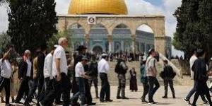 انتهاك جديد لقدسية الأقصى.. المستوطنون يقتحمون الباحات تحت حماية الاحتلال| تقرير - هرم مصر