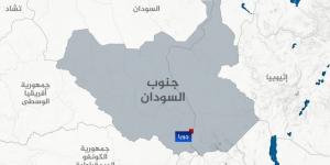 برنامج الأغذية العالمي يسقط مساعدات جوا بجنوب السودان - هرم مصر