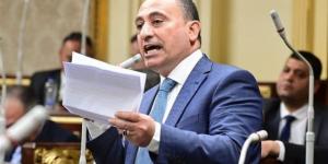 أمين مستقبل وطن البحيرة : محددات الأمن القومي المصري خط أحمر - ايجي سبورت
