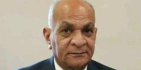 رئيس حزب الريادة: «تكافل وكرامة» علامة مضيئة في مسيرة التنمية - هرم مصر