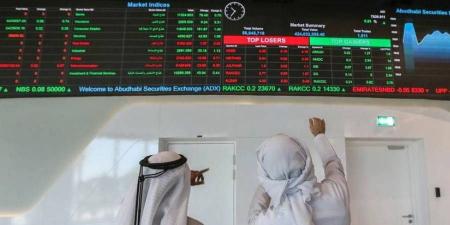 إضافة 5 شركات إماراتية لـ «إم إس سي آي» اليوم - هرم مصر