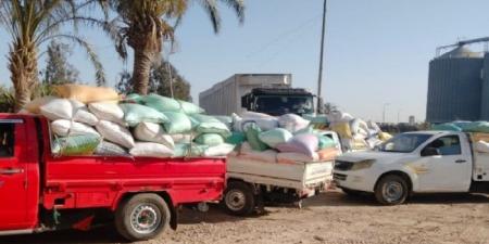 توريد أكثر من 287 ألف طن قمح لشون وصوامع البحيرة - هرم مصر