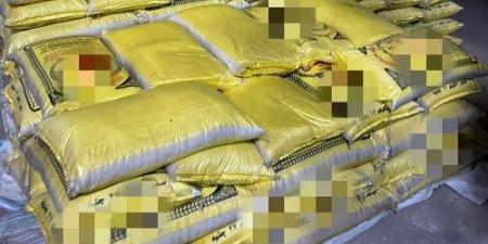 ضبط 875 كجم فول مدشوش غير مطابق للمواصفات بمدينة شبين القناطر - هرم مصر