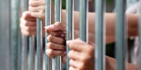 حبس المتهمين بقتل شاب بسلاح أبيض في حلوان - هرم مصر