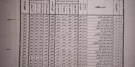 نتيجة الصف الثالث الابتدائي برقم الجلوس والاسم .. المدارس تعلنها بالألوان - هرم مصر