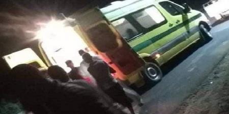 مصرع شاب على يد شقيقه بعد تطاوله على والدته بقرية طنبشا بالمنوفية - هرم مصر
