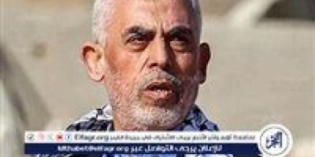 التايمز البريطانية تكشف عن خليفة السنوار في قيادة حماس - هرم مصر