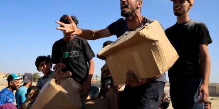المساعدات تحوّلت إلى مأساة.. جيش الاحتلال يعترف بجريمته في رفح - هرم مصر