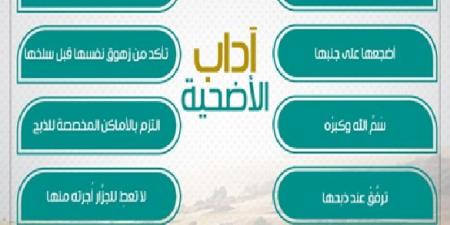 بسم الله والله أكبر 13  قاعدة شرعية للتعامل مع الأضحية #دا_الافتاء #دين_وحياة - هرم مصر