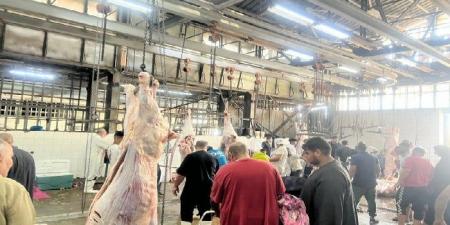 إقبال كبير على المجازر الحكومية بالقاهرة في أول أيام عيد الأضحى - هرم مصر