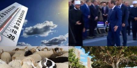 أخبار التوك شو: رئيس شعبة الجلود يقدم نصائح هامة للمواطنين للحفاظ على جلود الأضاحي.. والأرصاد تعلن مفاجأة للمواطنين عن طقس أول أيام العيد - هرم مصر