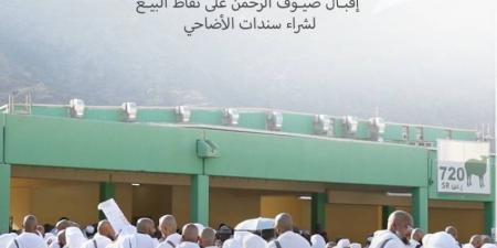 أضاحي تبدأ عملياتها التشغيلية في يوم النحر - هرم مصر