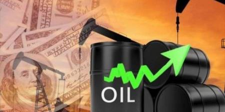 ارتفاع أسعار النفط - هرم مصر