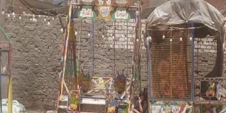 سقوط مرجيحة ملاهي في قرية نواج بطنطا يُسفر عن إصابة 3 أطفال في أول أيام عيد الأضحى - هرم مصر