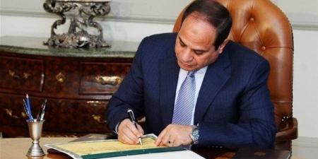 3209 فرص عمل في 59 شركة خاصة تنتظر شباب 14 محافظة - هرم مصر
